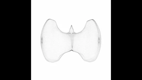 Rotating Thyroid Minimalistic Wireframe Endless Loop 4K 60FPS Stock Footage 308383439