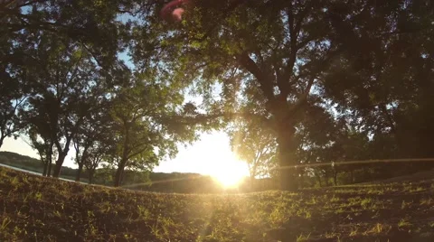 Rotating Time-Lapse in the Woods Video stock 52352452