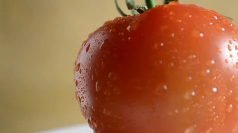 Rotating Tomato Video stock 22237645