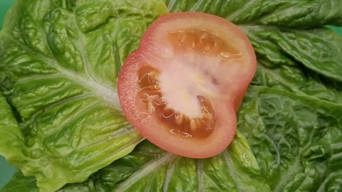 Rotating tomato on a lettuce leaves. Stock Footage 290869064