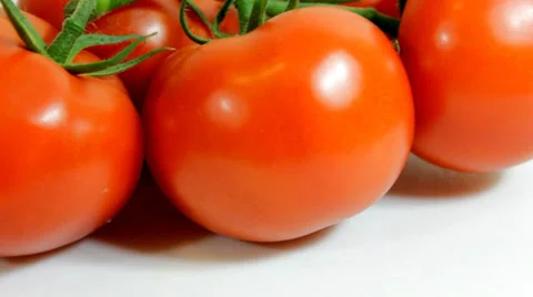 Rotating tomato on white background Vídeo Stock 24773064