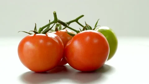 Rotating Tomato On White Background 스톡 동영상 235211766