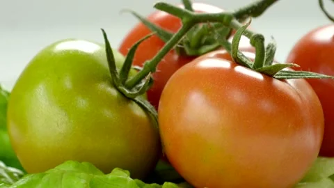 Rotating Tomato On White Background 스톡 동영상 235211780