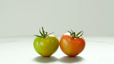 Rotating Tomato On White Background 스톡 동영상 235212441