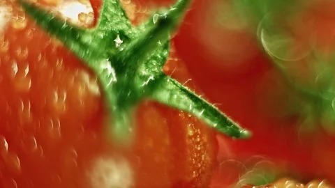 Rotating Tomatoes Closeup  with droplets and shallow depth of field Stock Footage 73316748