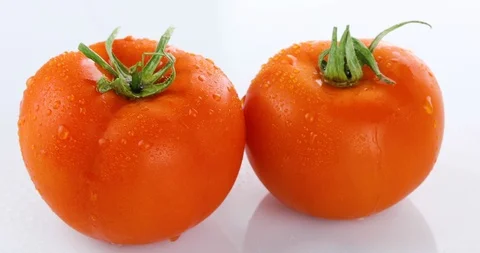 Rotating tomatoes isolated on white background Stock Footage 102244600