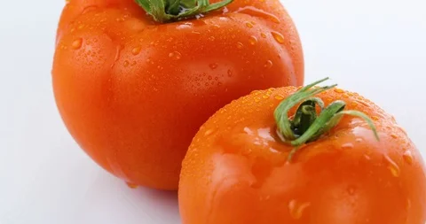 Rotating tomatoes isolated on white background Stock Footage 102245781