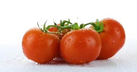 Rotating tomatoes isolated on white background Stock Footage 102246498