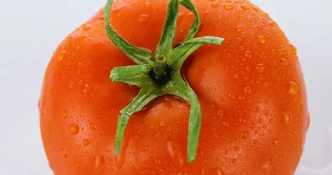 Rotating tomatoes isolated on white background Stock Footage 102246617
