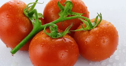 Rotating tomatoes isolated on white background Stock Footage 102248881