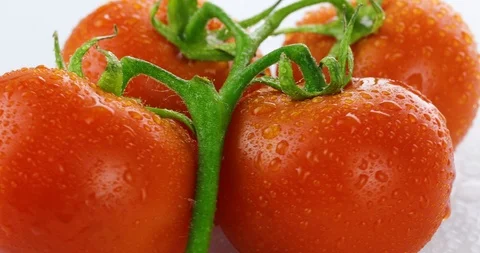 Rotating tomatoes isolated on white background Stock Footage 102249379