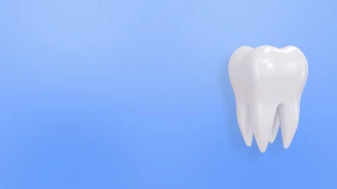 Rotating Tooth 3D Loop Animation Stock Footage 318103569