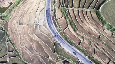 Rotating Top-Down Drone View Of A Curved Road Through Geometric Terraced Fie 스톡 동영상 346809141