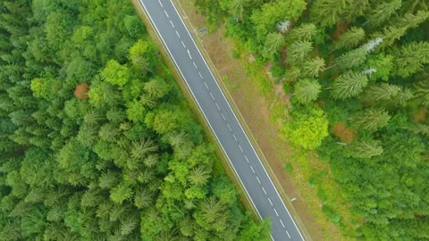 Rotating top-down mountain road, vicinity of Kouty nad Desnou, Olomouc region 스톡 동영상 248230107