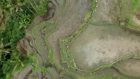 Rotating top drone view of the loved couple standing on a path around the cascad Stock Footage 131805897