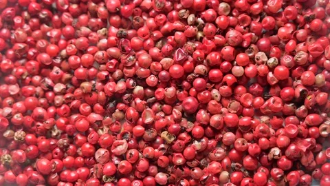 Rotating top view of dried berries of red pepper Stock Footage 141539596