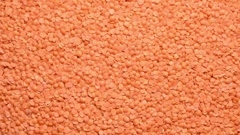 Rotating Top View of Masoor Dal (Red Lentils) – Pulses Texture Footage Stock Footage 329343225