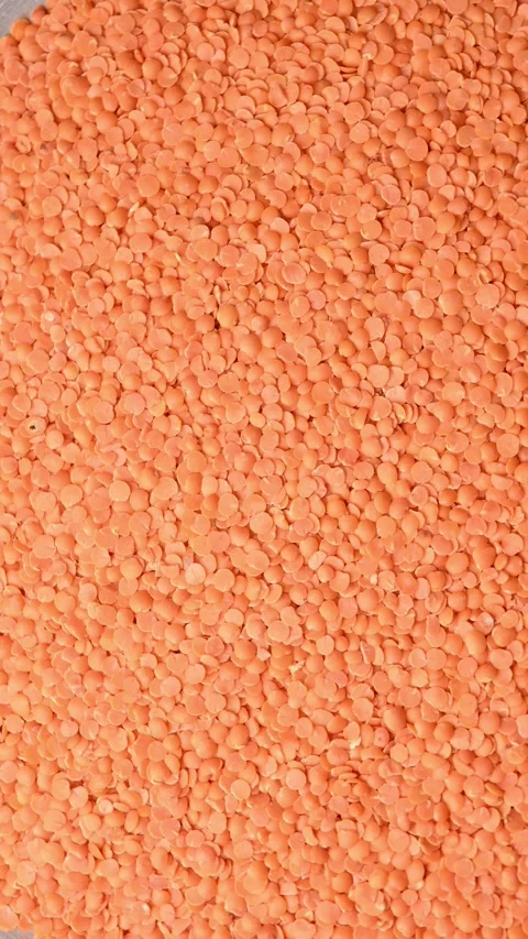 Rotating Top View of Masoor Dal (Red Lentils) – Pulses Texture Footage Stock Footage 329343574