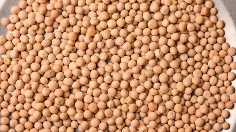 Rotating Top View of White Peas – Legume Texture Background  Footage Stock Footage 329343181