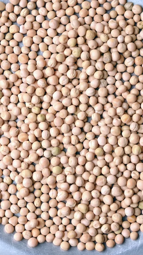 Rotating Top View of White Peas – Legume Texture Background Vertical Footage Stock Footage 329362553