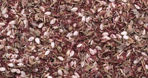 Rotating top view of Za'atar spices Stock Footage 278341166