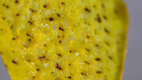 Rotating triangular corn nacho chip surface with seasoning on grey background Stock Footage 345610644