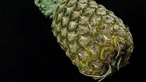 Rotating Tropical Exotic Fruit Pineapple On A Black Background. Video stock 170325479