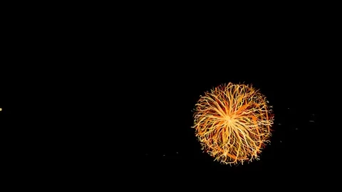Rotating tumbleweeds on a black background. Stock Footage 313691432