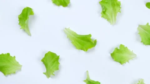 Rotating vegetable background of lettuce leaves, on a white background. The Stock Footage 195953664
