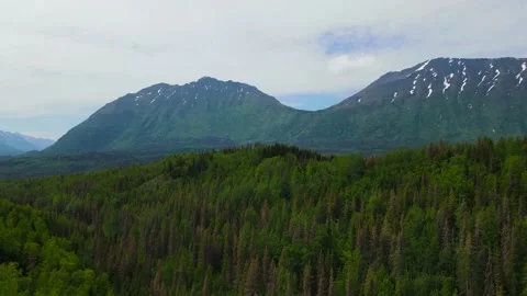 Rotating view above forest. Stock Footage 196997413