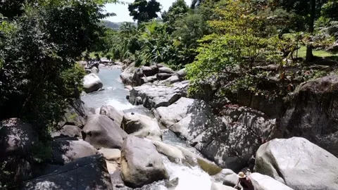 Rotating View in Rainforest Stock Footage 202074552