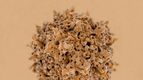 Rotating virus, the adeno associated virus Stock Footage 243749686