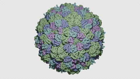 Rotating virus Stock Footage 293849414