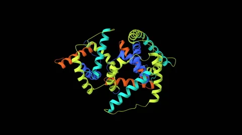 Rotating visualization of protein structure. Stock-Footage 63764106