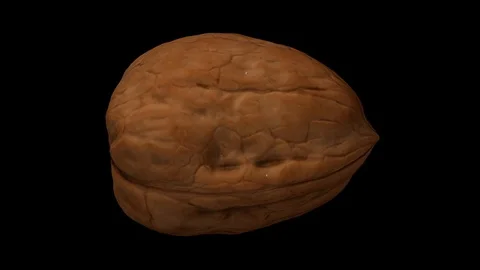 Rotating Walnut on Black Background Stock Footage 92287522