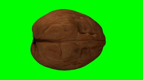 Rotating Walnut on Green Background Stock Footage 92287591
