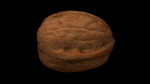 Rotating Walnut on Transparent Background (Alpha Channel) Stock Footage 92290255
