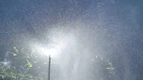 Rotating water spray from Sprinkler Stock Footage 280378246