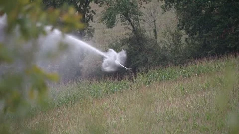 Rotating water sprinkler in cornfield distributing water streams to enhance.. Vídeo Stock 317256204
