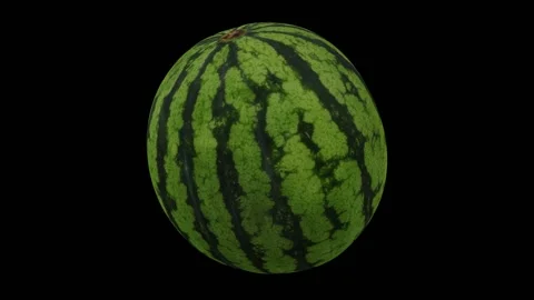Rotating Watermelon Black Background (Looping) Stock Footage 146877995