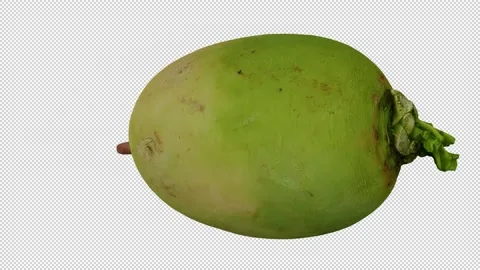 Rotating Watermelon Radish on Transparent Background (Looping) Stock Footage 150235843