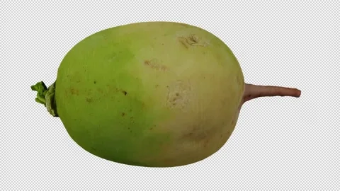 Rotating Watermelon Radish on Transparent Background (Looping) Stock Footage 150236274