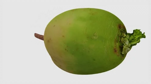 Rotating Watermelon Radish on Transparent Background (Looping) Stock Footage 150236587