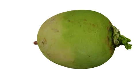 Rotating Watermelon Radish on White Background (Looping) Stock Footage 150235905