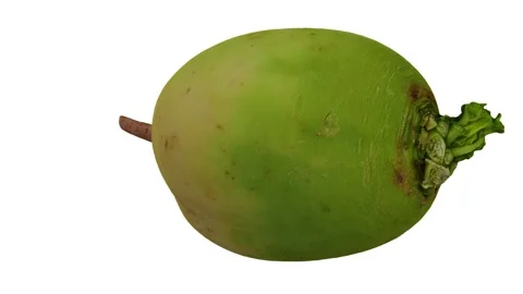 Rotating Watermelon Radish on White Background (Looping) Stock Footage 150236638