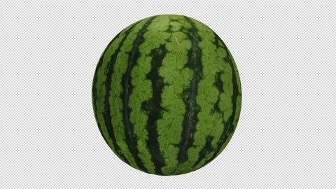 Rotating Watermelon Transparent Background (Looping with Alpha Channel) Video stock 146877748