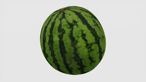 Rotating Watermelon Transparent Background (Looping with Alpha Channel) Stock Footage 146877985