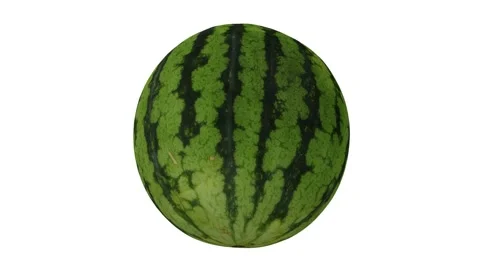 Rotating Watermelon White Background (Looping) Stock Footage 146877887