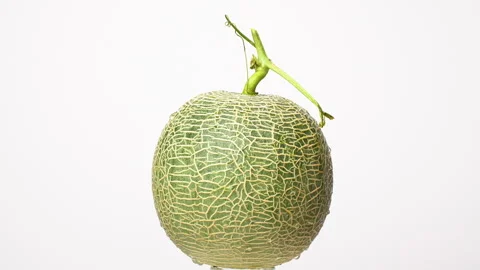 Rotating Wet Green Netted Melon With Water Droplets Isolated On White 4K Stock Footage 323081159