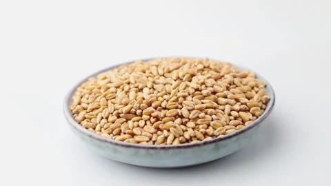 Rotating of wheat grains in ceramic plate on white background. Side view. Stock Footage 136050706